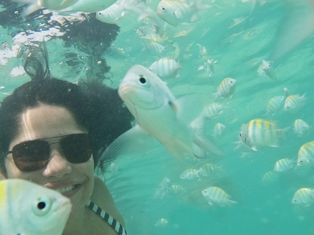 piscinas naturais de maragogi e região