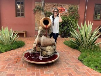 vinicola canguera fonte de vinho