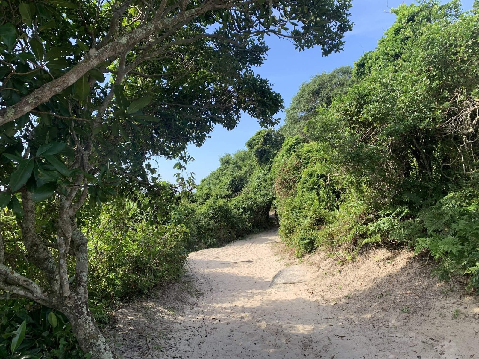 farol das conchas ilha do mel