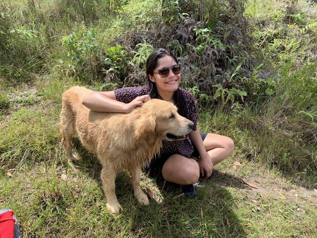 complexo tira prosa carrancas e pet