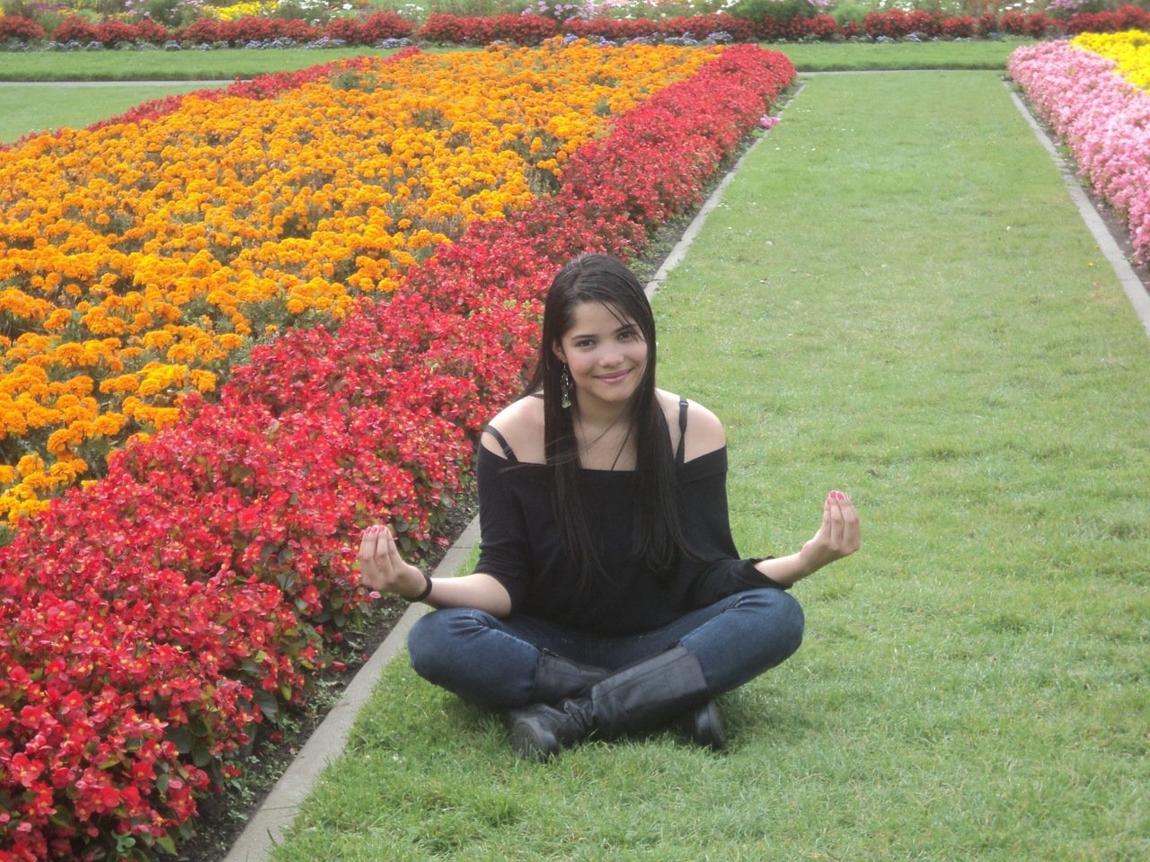 golden gate park city tour san francisco