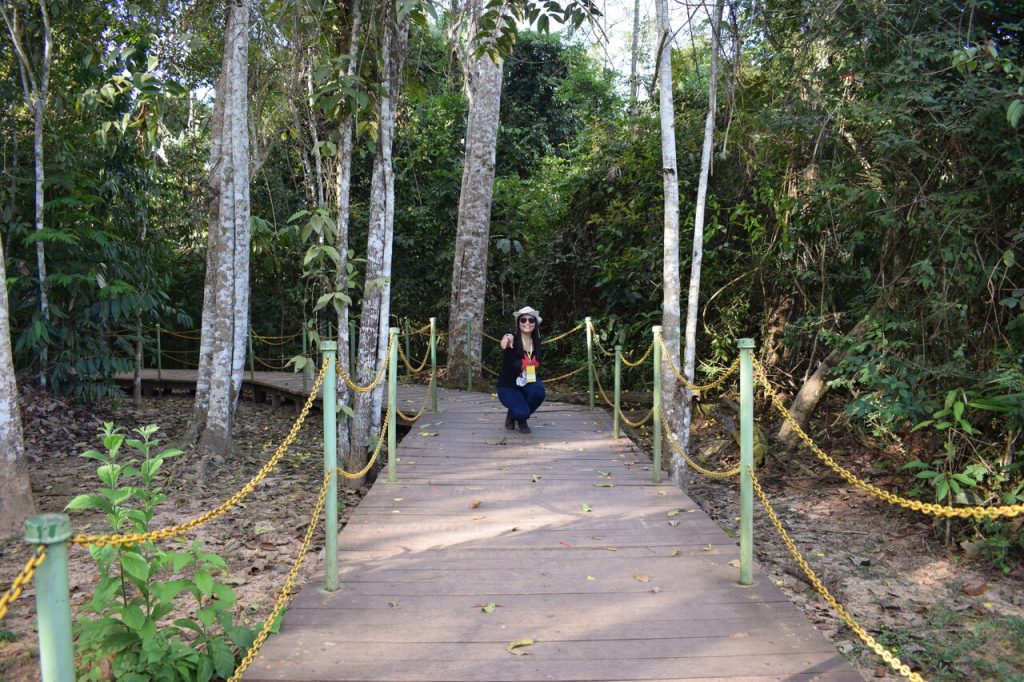 turismo no Acre parque chico mendes acre