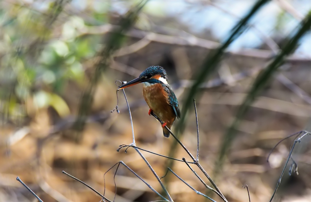 passeio chapada dos guimaraes saindo de cuiaba