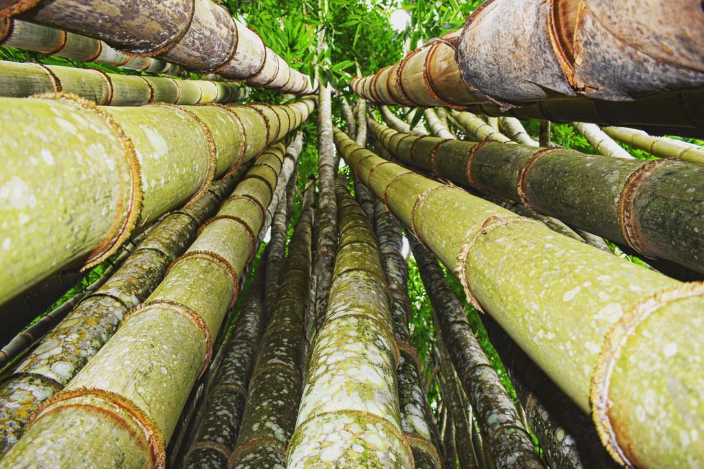 vale do jamaca chapada dos guimaraes