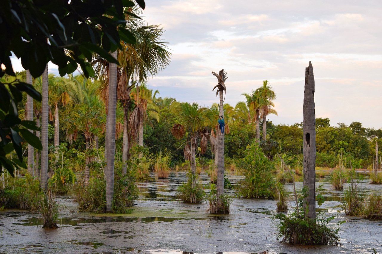 lagoas das araras nobre em bom jardim