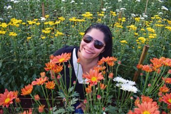 passeio holandes em holambra