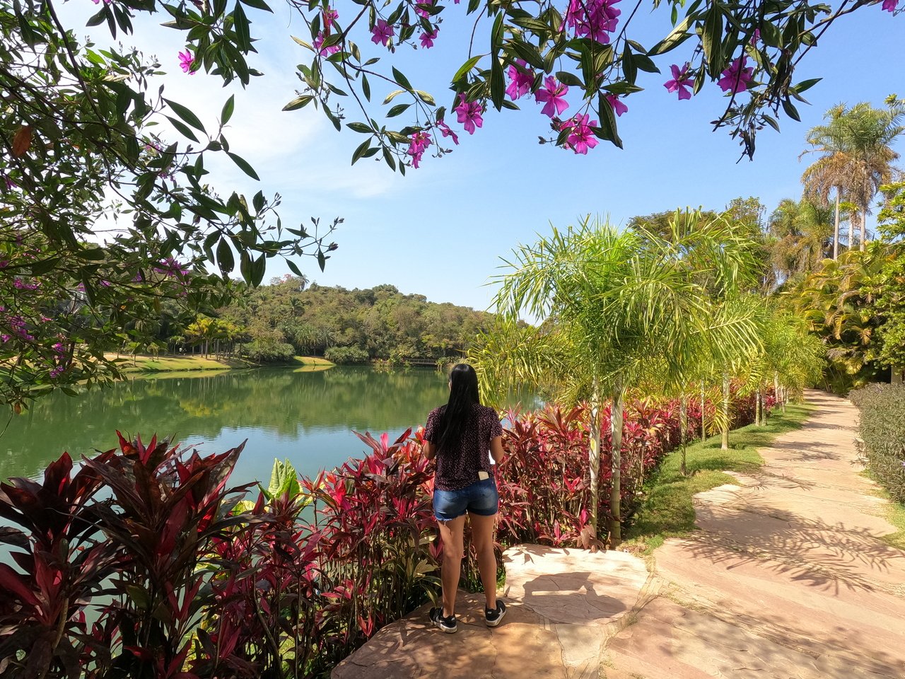 excursao instituto inhotim saindo de bh