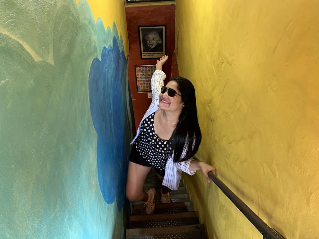 bichinho minas gerais