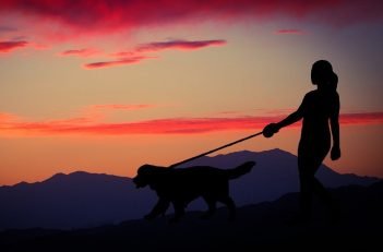 O que fazer em Lavras Novas, Minas Gerais