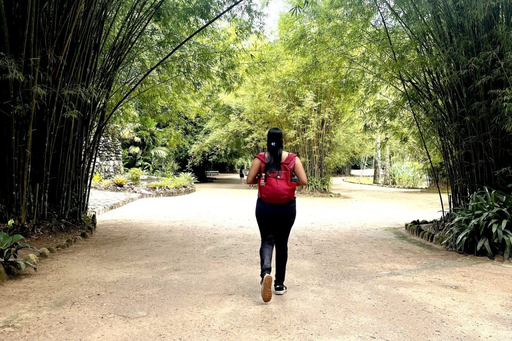 parques do rio de janeiro