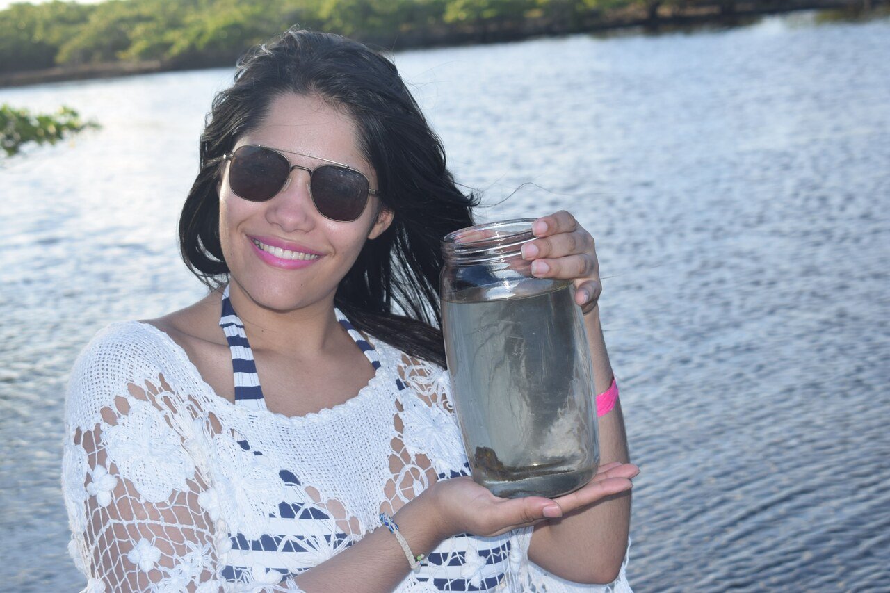 passeio de buggy em porto de galinhas pontal de maracaipe